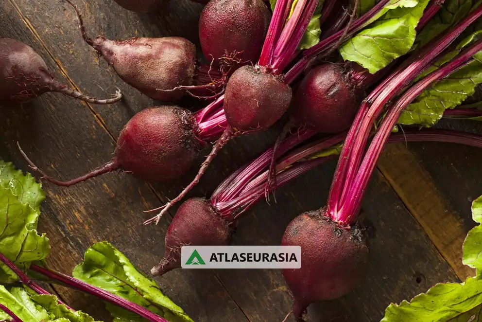 رنگ طبیعی - بیت روت